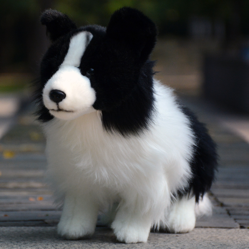 其他边牧犬公仔PP棉仿真