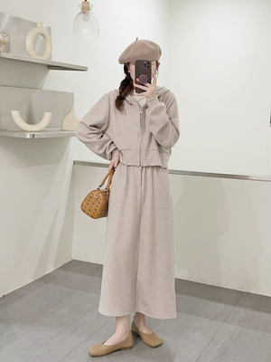 9.27 秋季新款 AY-81211欧货小标刺绣短款连帽卫衣半裙套装