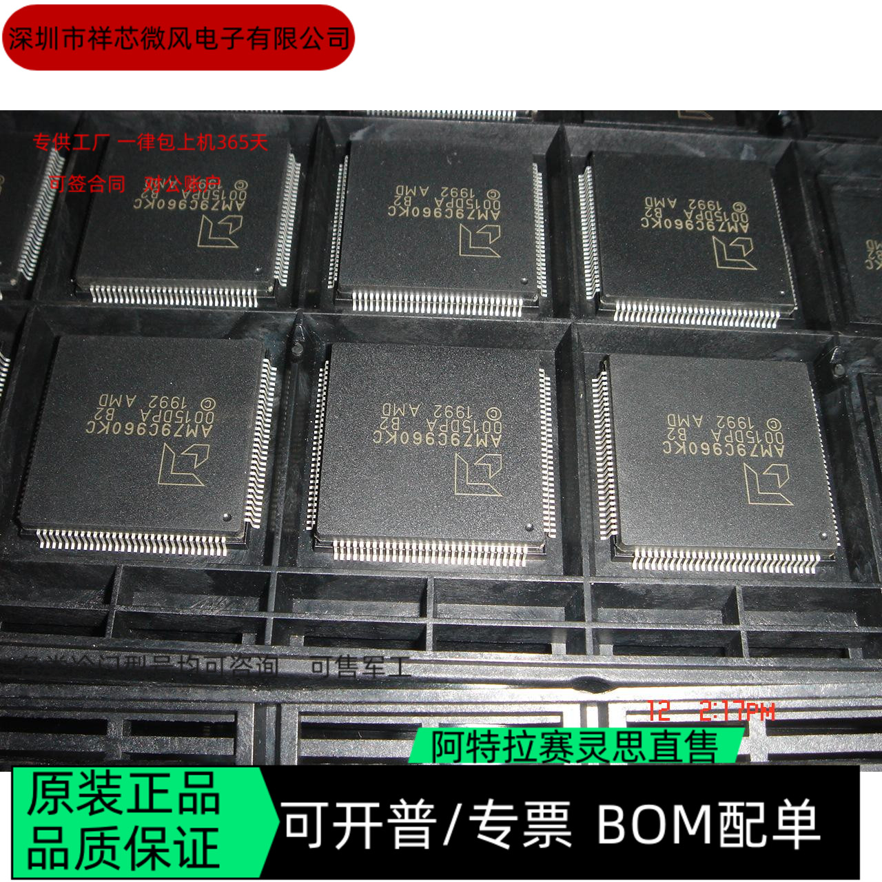 AM79C960KC 全新正品 可编程IC芯片 咨询下单