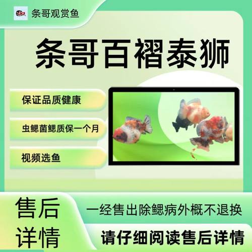 泰狮小鱼苗3cm一包5条