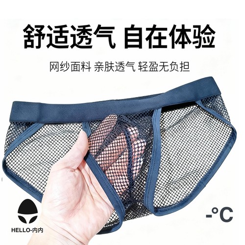 男士三角裤纯欲透明网孔大网内裤