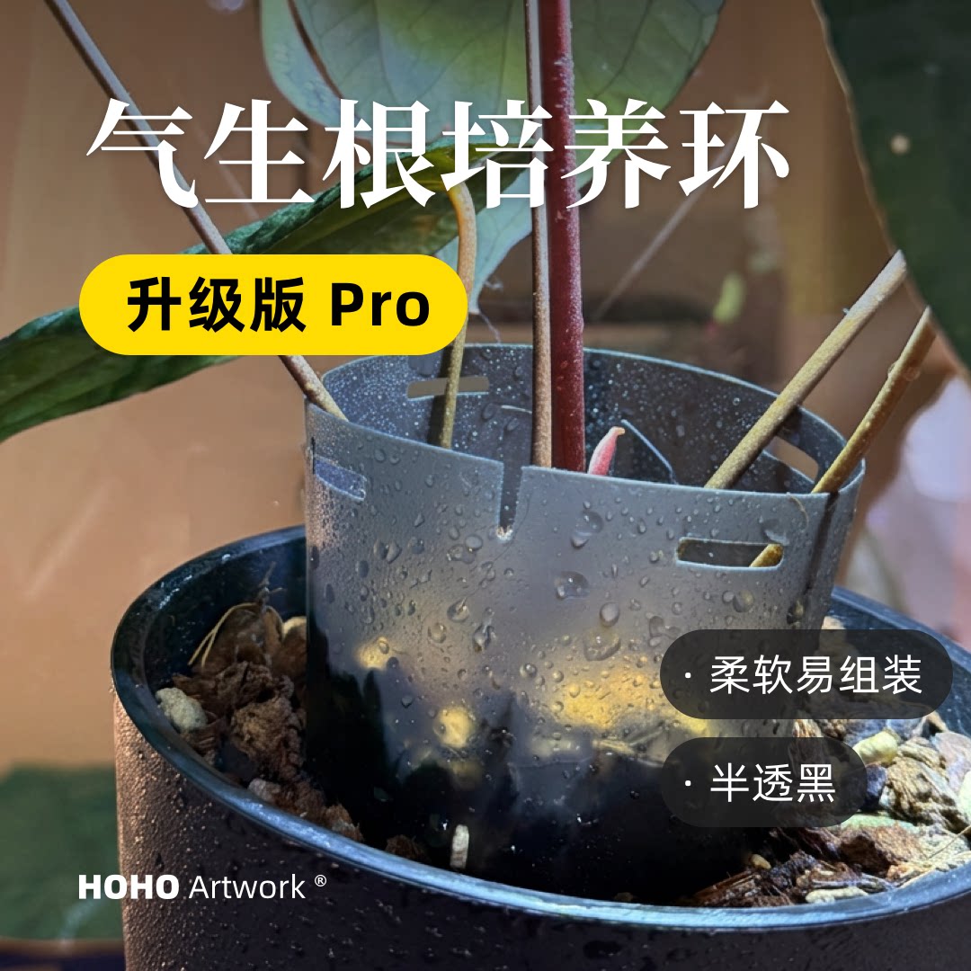 HOHO花烛可拼接加高器气生根热植图片