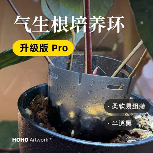 HOHO花烛可拼接加高器气生根热植