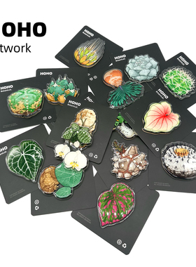 HOHO原创·植物绿植磁吸冰箱贴热带植物块根龙舌兰亚克力冰箱贴