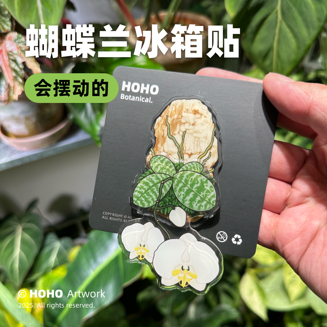 蝴蝶兰磁吸亚克力冰箱贴