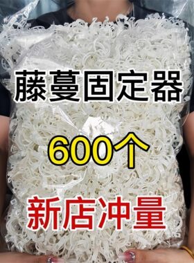黄瓜西红柿豆角爬藤枝条固定器