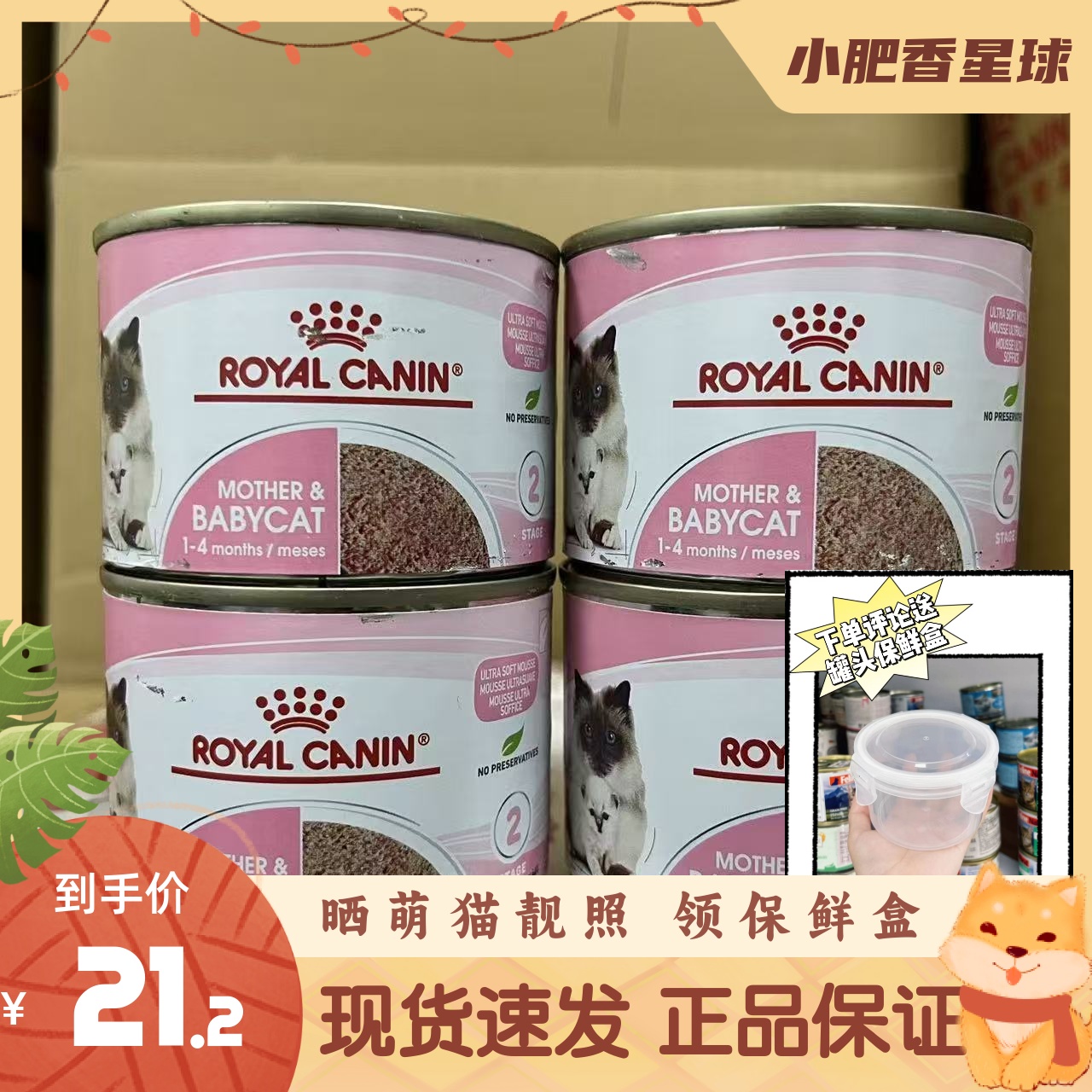 皇家进口幼猫奶糕慕斯离乳期湿粮猫咪营养增肥发腮主食罐现货195g