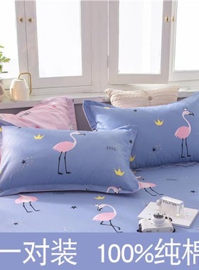 蓝色纯棉枕头套单个家用48X74一对装天蓝色加厚全棉大号四季通用