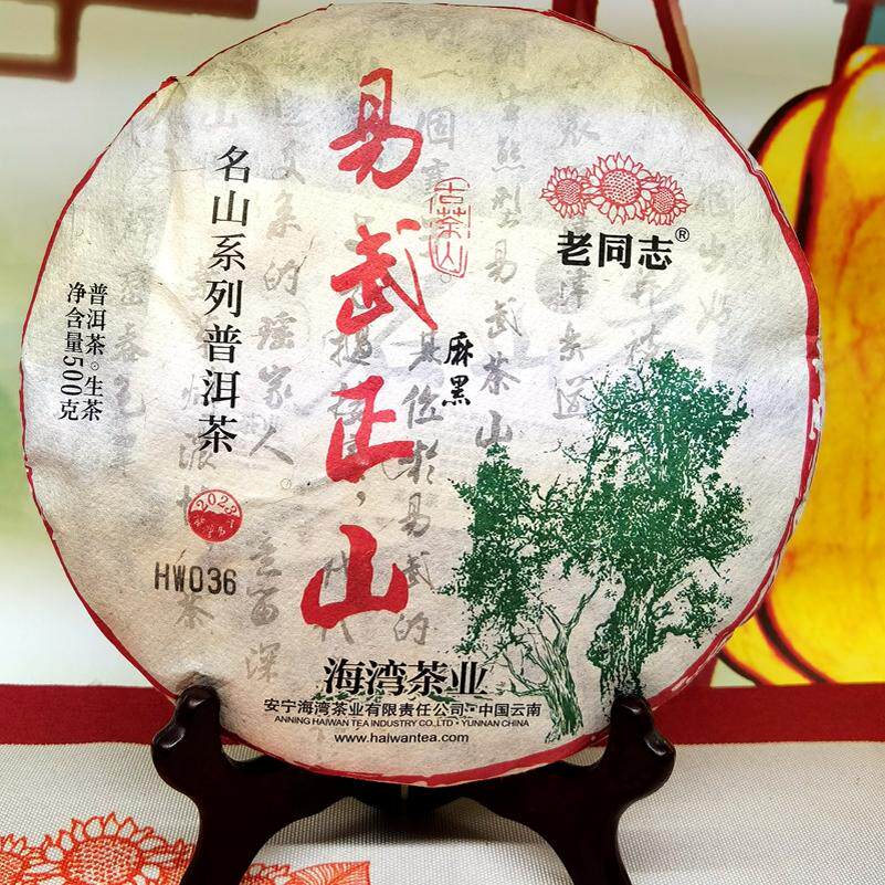 老同志普洱茶 2024年易武正山麻黑 古树茶 名山系列 生茶饼 500g