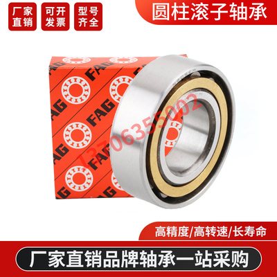 德F国A进G口轴承 1017 1018 1019 1020 1021 1022 N-E-TVP2M1