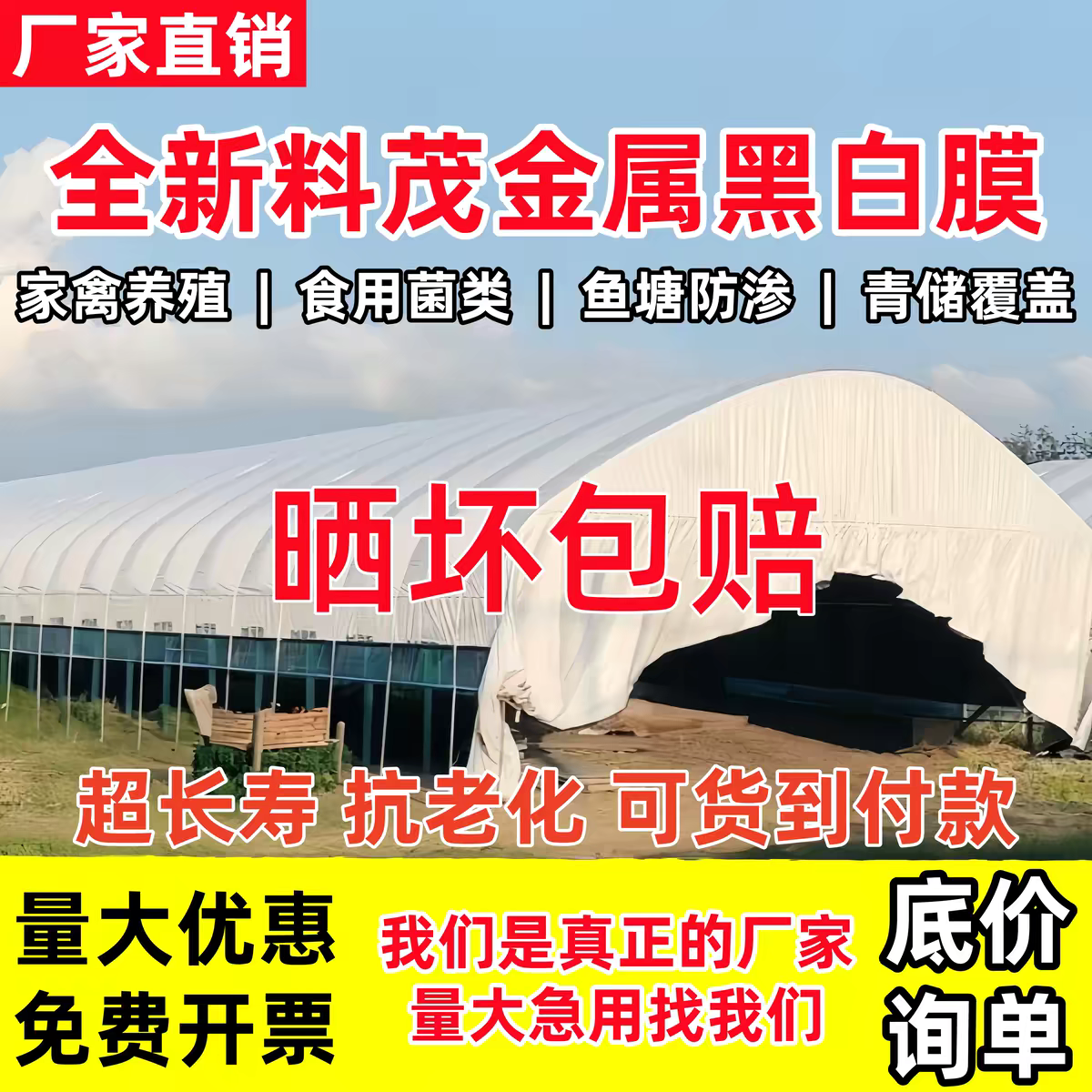 进口养殖黑白膜长寿无滴膜反光膜遮阳防嗮食用菌专用绿白膜