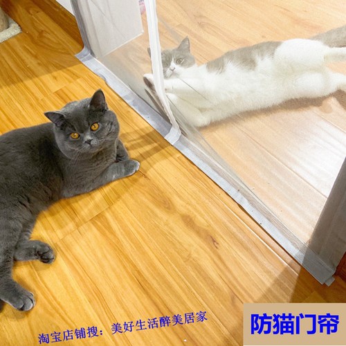 军工网软隔断防猫拉链纱门挡猫狗