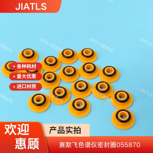 赛默飞离子色谱仪泵头ICS3000色谱柱塞高压密封圈055870