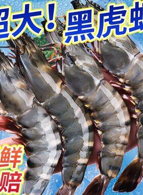 黑虎虾超大新鲜老虎虾鲜活速冻特大九节海虾海鲜水产特大基围虾