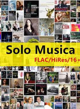 Q28 Solo Musica 古典音乐HiRes 数字音源 FLAC 24+16 292套327CD