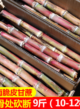 【现砍现发】正宗云南脆皮甘蔗新鲜罗汉甘蔗9斤当季红皮绿皮青皮