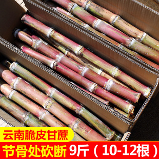 脆会有裂口 正宗云南老品种脆皮甘蔗新鲜罗汉甘蔗9斤当季 红皮