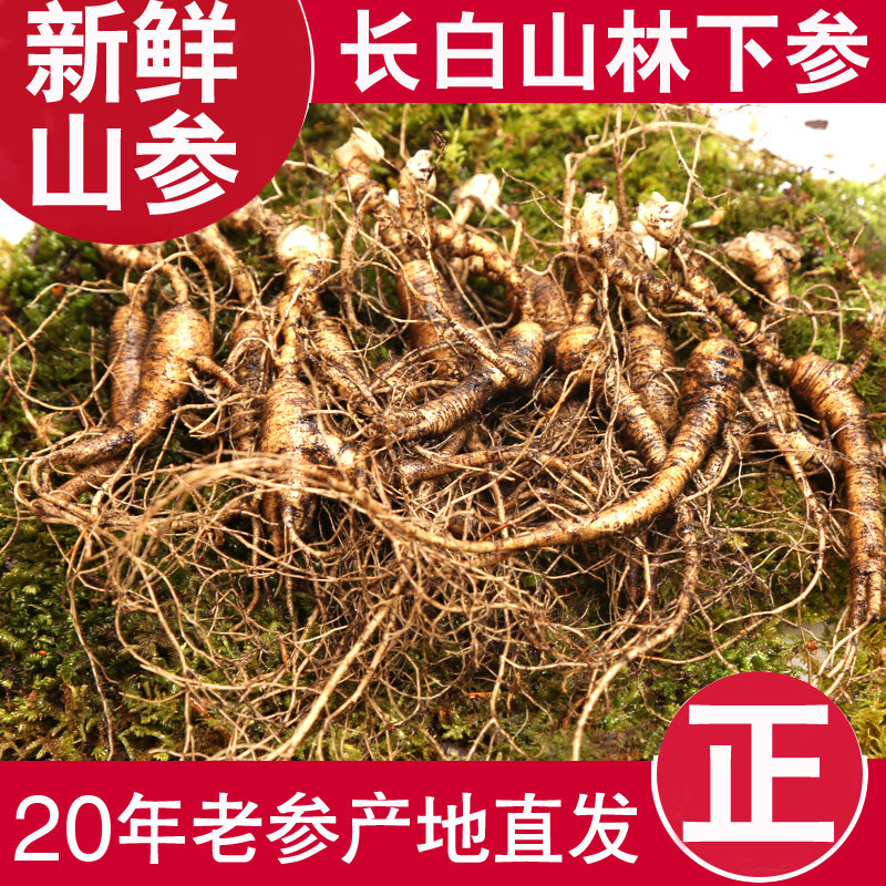 新鲜山参林下山参长白山野山参鲜人参东北人参野生老山参残枝20年