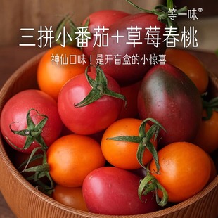 碱地三拼小番茄多彩黄千禧葡萄紫茄草莓小绿帽春桃圣女水果等一味