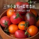 碱地三拼小番茄多彩黄千禧葡萄紫茄草莓小绿帽春桃圣女水果等一味