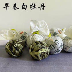 云南大叶种白茶景谷大白茶月光白龙珠白牡丹花蜜香花果香甜香白茶