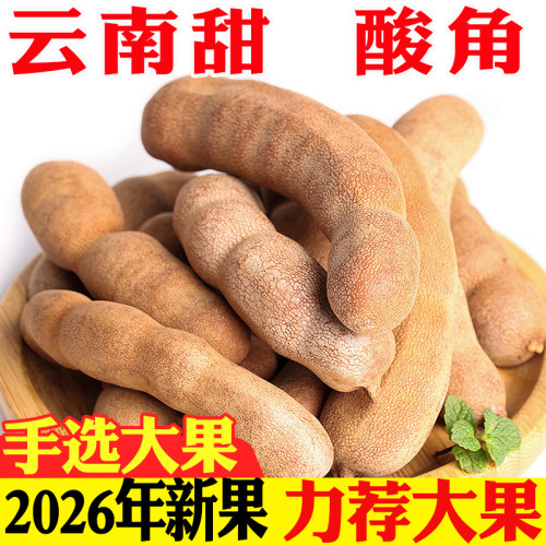 大甜角酸角云南酸甜角新鲜水果孕妇零食甜酸豆角酸枣糕特产罗望子