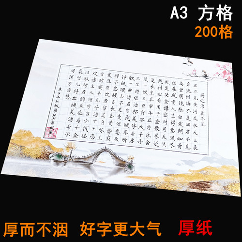 硬笔书法纸大中小学生200格
