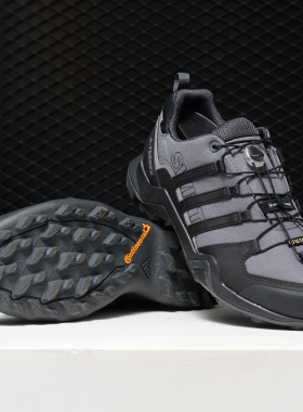 Adidas/阿迪达斯正品 TERREX SWIFT R2 GTX 男子休闲户外鞋CM7493
