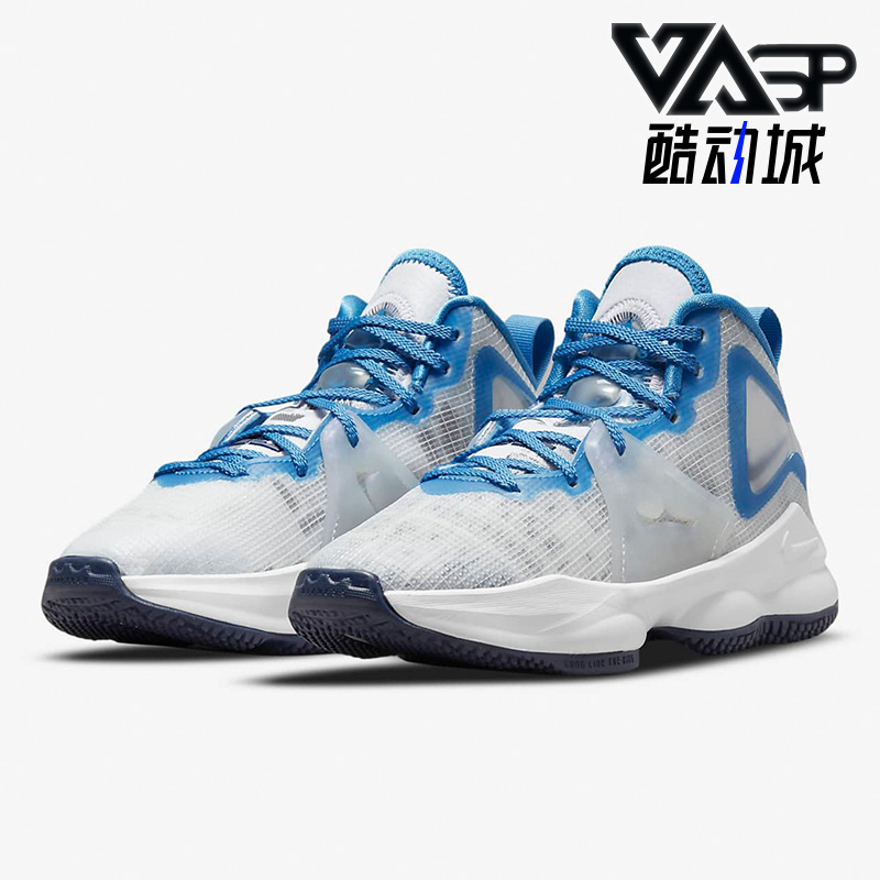 Nike/耐克正品 LEBRON XIX (PS)儿童休闲运动鞋DD0421-100