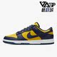 耐克正品 低帮轻便运动鞋 Dunk Nike Low 休闲男女时尚 DD1391 700
