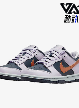 Nike/耐克正品冬季新款女子GS大童运动休闲透气板鞋 DX1663-400