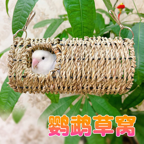 鹦鹉手工草窝睡觉牡丹虎皮玄风文