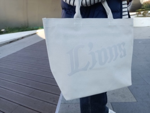 日单库存有拉链加厚帆布大容量购物袋补习袋手提单肩背布包