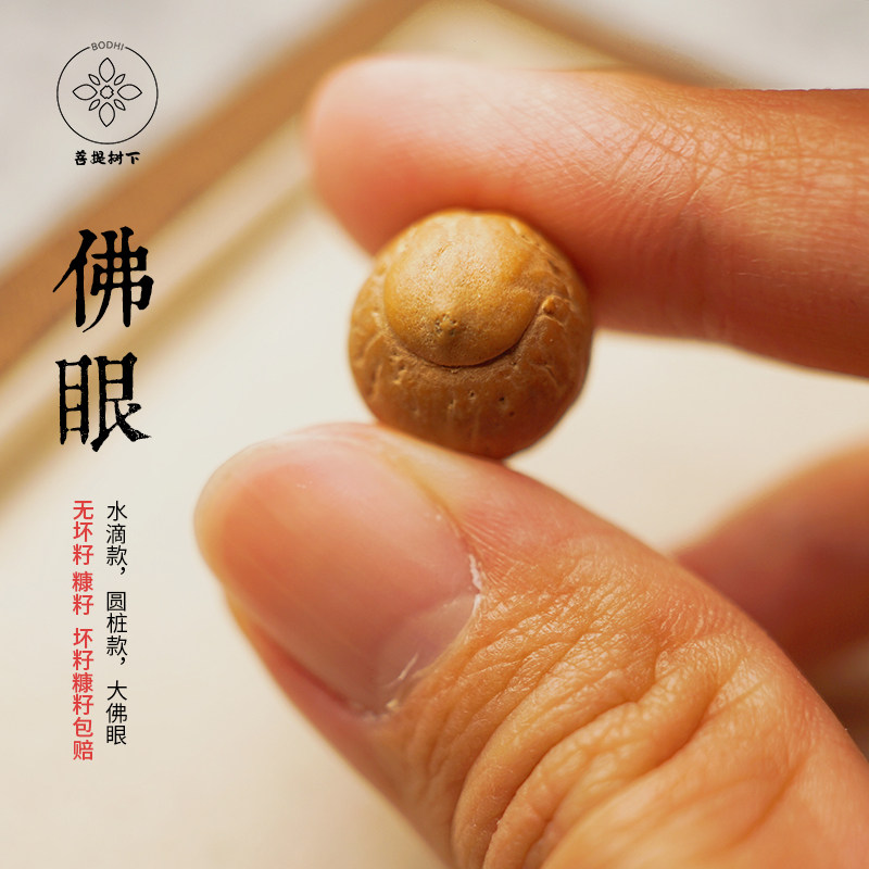 【稀少一眼佛眼】 尼泊尔源产地稀少佛眼可做佛头背云三通弟子珠