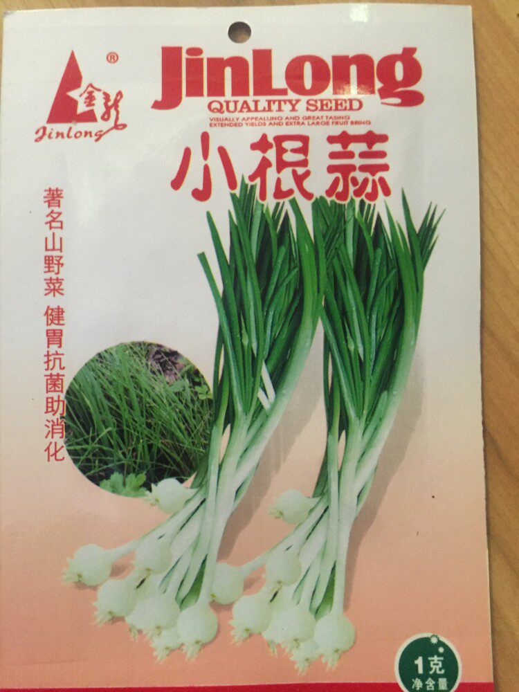 野生小根蒜种子根蒜种籽野葱蒜山蒜耐寒性好家庭庭院栽培蔬菜种孑