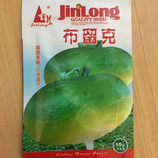 春播蔬菜种子卜留克种籽布留克恰玛古圆蔓菁种孑芜菁圆盘菜土苤蓝