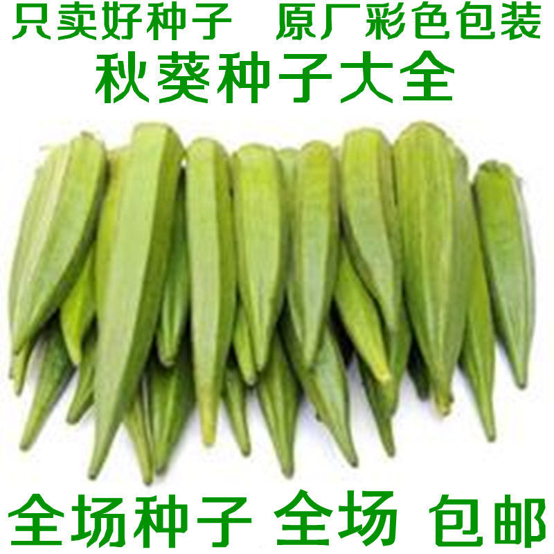 黄秋葵种子红秋葵种籽金秋葵羊角豆咖啡黄葵毛茄黄蜀葵洋辣椒蔬菜