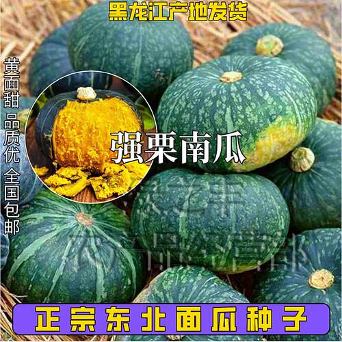 正宗甜栗南瓜正宗甜栗南瓜