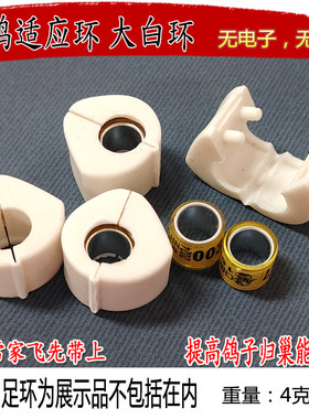 大白环无芯片适应环鸽子脚环