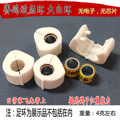 大白环无芯片适应环鸽子脚环