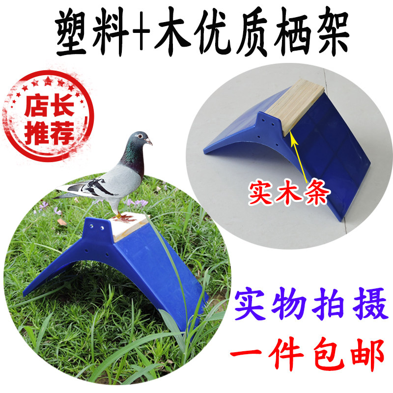 鸽子站架塑料栖架实木栖息架
