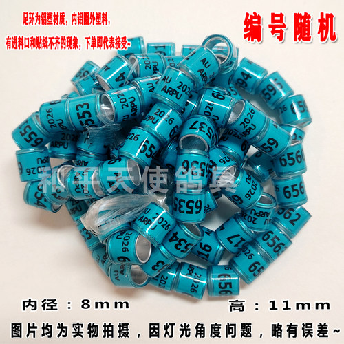鸽子脚环2026年无证外国足环信鸽识别记号环鸽环脚箍鸽子用品鸽具