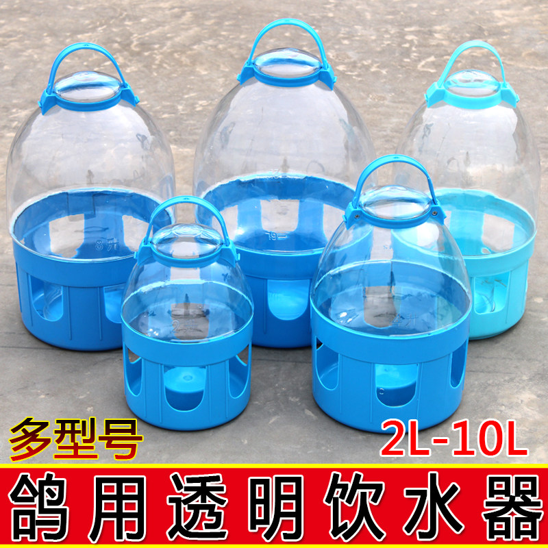 新品加厚透明鸽子饮水器喂水壶