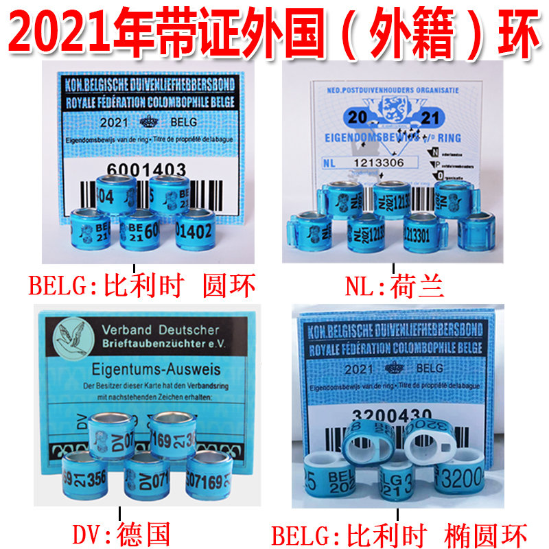 2021年外国环鸽子足环比利时德国荷兰带证外籍环飞行天使鸽具专卖