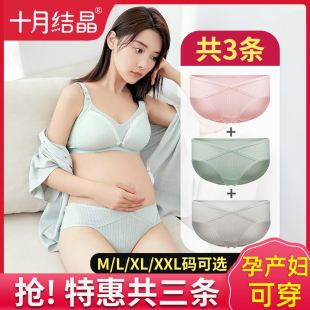女怀孕早期中晚期可用低腰托腹裤 薄款 头 纯棉春季 十月结晶孕妇内裤