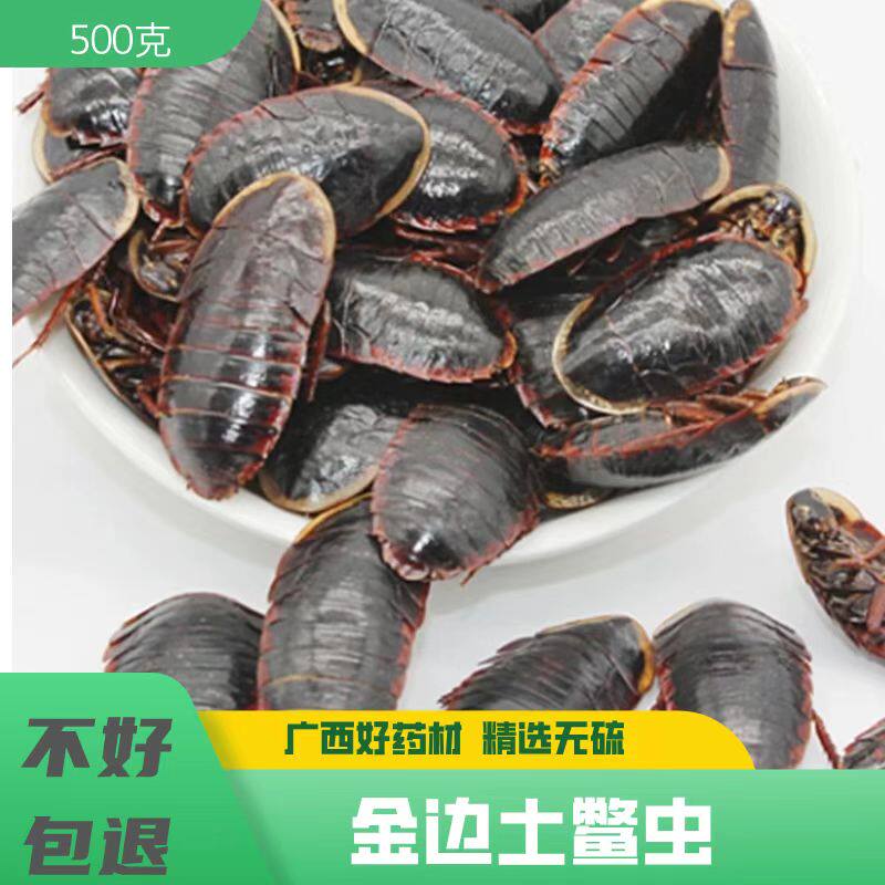 包邮散装土鳖虫金边土元虫