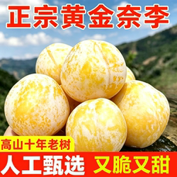 汝城文明黄金奈李湖南郴州特产新鲜水果脆甜李子应季非九峰山礼箱