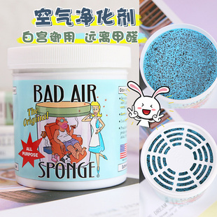 美国Bad 修去味汽车光触媒白宫除甲醛 Sponge空气净化剂室内装 Air