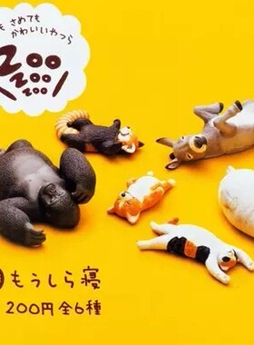 现货花猫海豹浣熊 一弹  休眠和睡眠的动物 趴睡 躺睡初版满包邮