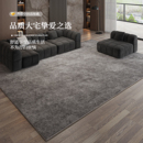 轻奢高级感灰色防水防污卧室床边毯极简沙发地垫 地毯客厅2025新款